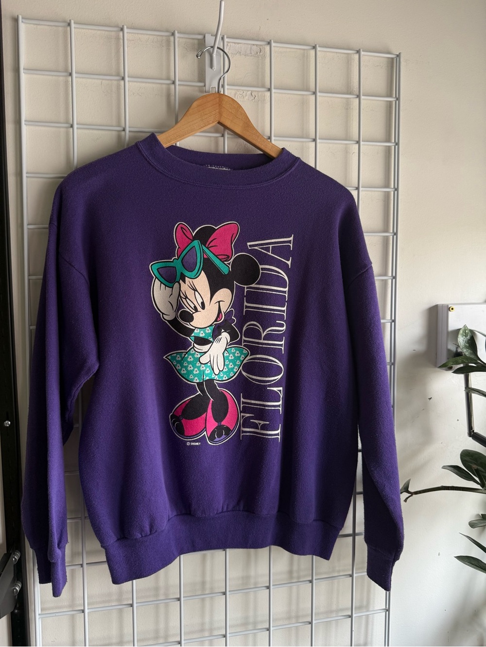 Minnie Mouse Florida Vintage Crewneck 🏝️